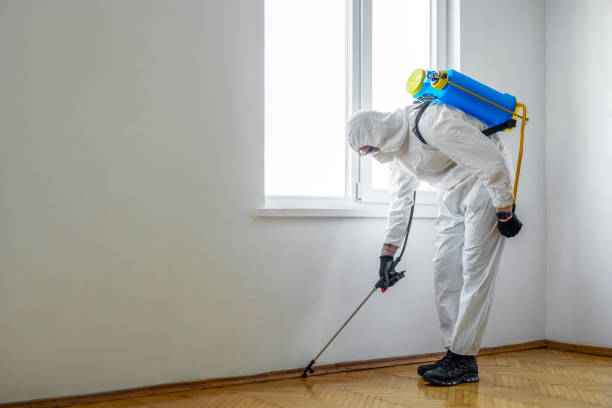 Best Commercial Pest Control  in Frisco City, AL